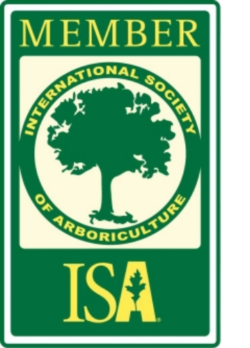 ISA-Member