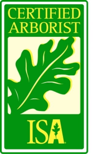 Certified-ISA-Arborist