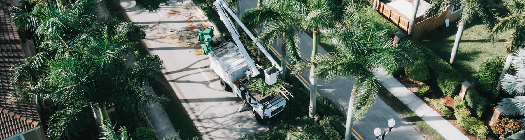 The Importance of Commercial Landscaping in Florida
